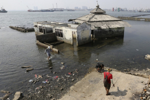 ӡ���׶�ÿ����뺣��25cm����Ͷ4000����ֹ��������������Ϊɶ��Ǩ����