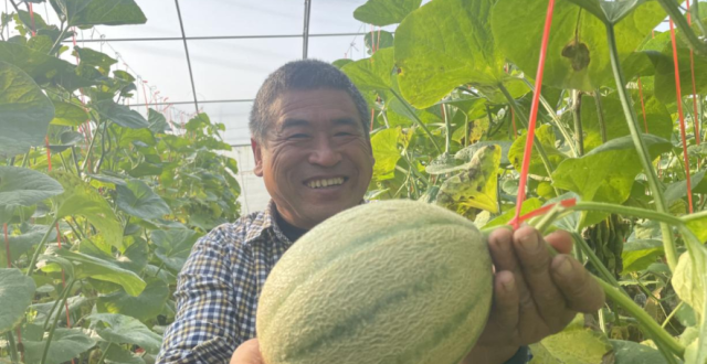 瓜还没吃够？来这里实现秋日“吃瓜”自由_腾讯新闻