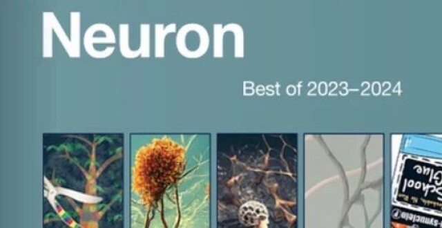 Neuron 2023-2024年度最佳论文集上线！_腾讯新闻