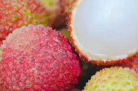 医生称荔枝壳是天然降火药：“能打败荔枝上火的是荔枝自己”_腾讯新闻