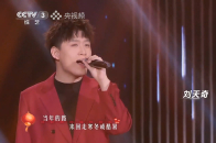 刘天奇演唱《亲戚》，温暖治愈的歌声，直击观众内心_腾讯新闻