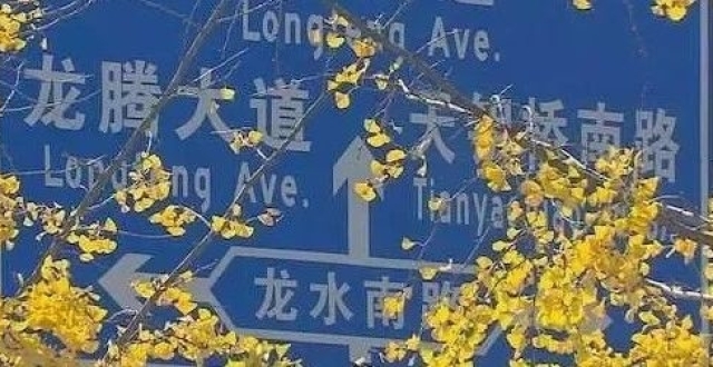 原来，上海的街头藏了这么多“龙”！_腾讯新闻