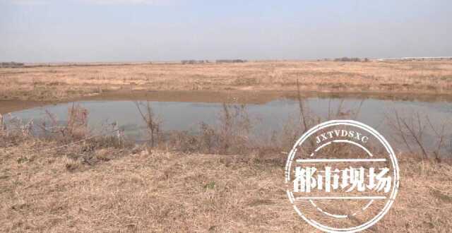 天气回暖 16万羽越冬水鸟齐聚鄱阳湖南矶湿地_腾讯新闻