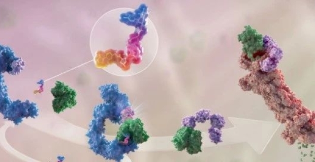 不止PROTAC，还有DUBTAC！安斯泰来与Ubiquigent合作开发去泛素化酶（DUB）相关药物_腾讯新闻