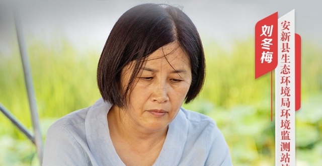 双争光荣榜｜刘冬梅：守护白洋淀生态的“环保铁娘子”_腾讯新闻