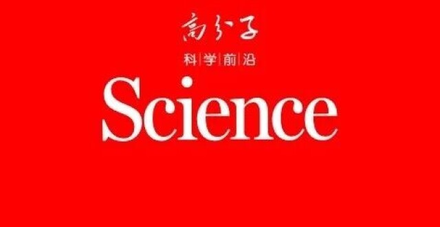 石墨烯，最新Science！_腾讯新闻