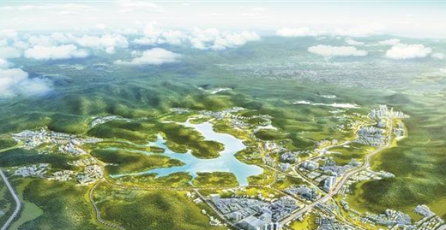 西丽湖国际科教城“概念验证平台”构建“创新苗圃”_腾讯新闻