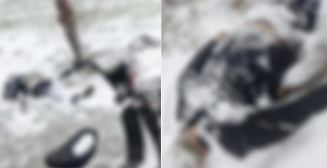 河南一男子酒后在雪地被冻死，在雪地里昏睡真的会“一觉不醒”吗？_腾讯新闻