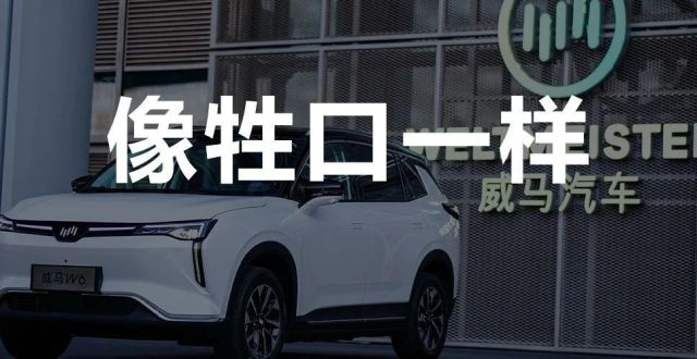 反向借壳上市，疯狂自救的威马还能走多远？_腾讯新闻
