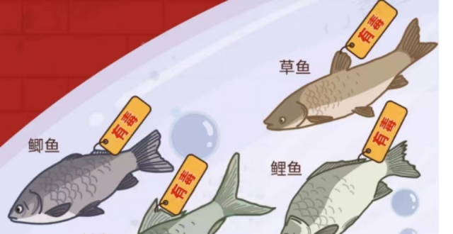 两患者生吞鱼胆中毒，专家：避免食用！这些常见鱼胆都有毒_腾讯新闻