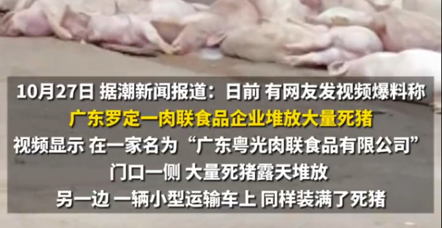 官方回应食品公司疑堆放大量死猪：正依法依规处理，死猪未流入市场_腾讯新闻