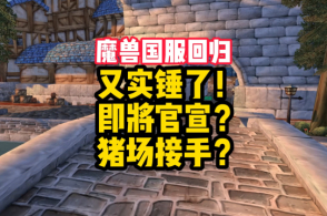 漫展上最常见的胶衣cos,每个都是男人的梦想,难怪那么多人喜欢张大仙