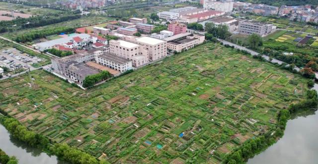 3宗地块上新，杭州新房不限价的楼市板块又增加了_腾讯新闻