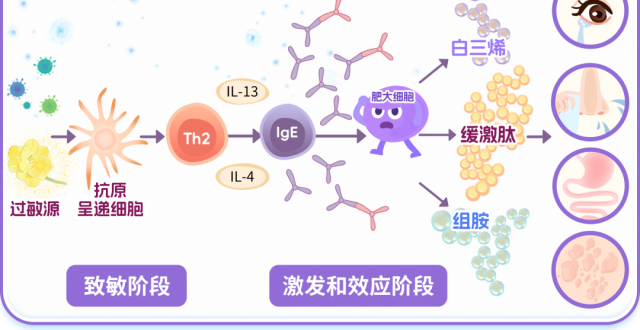 过敏全靠忍?「过敏体质」自救3招，别再做错了！_腾讯新闻