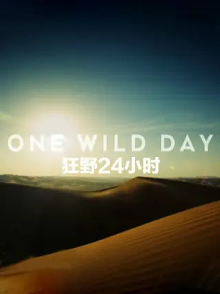野性24小时 第一季
