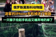 俄罗斯游客的iPhone手机掉进了猴园，一只猴子捡起手机后又嫌弃地扔掉了_腾讯新闻