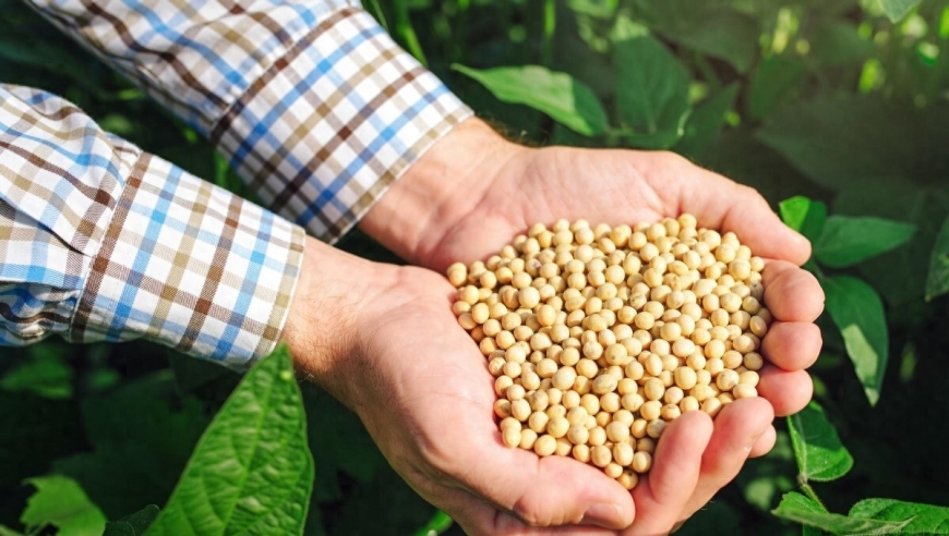 Global Challenges: U.S. Shutdown; France's Political Turmoil; China's Innovations; Chicago's Tensions; Soybean Trade; Israel-Hamas Diplomacy