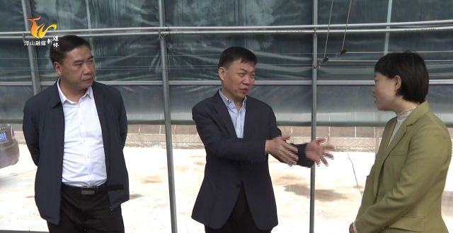 市人大常委会副主任张安文在我县调研_腾讯新闻