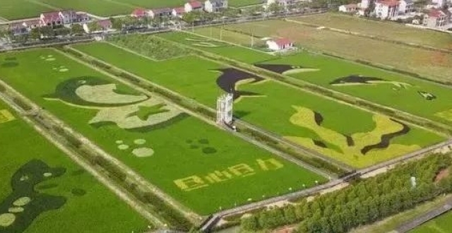 “打听式旅游”，让旅游更自在_腾讯新闻