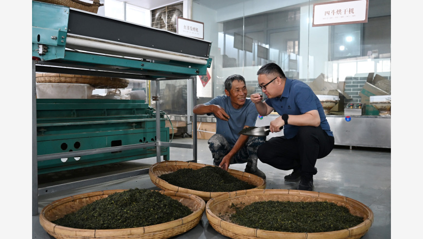 “十五五”开局之年，“三农”工作这样干！