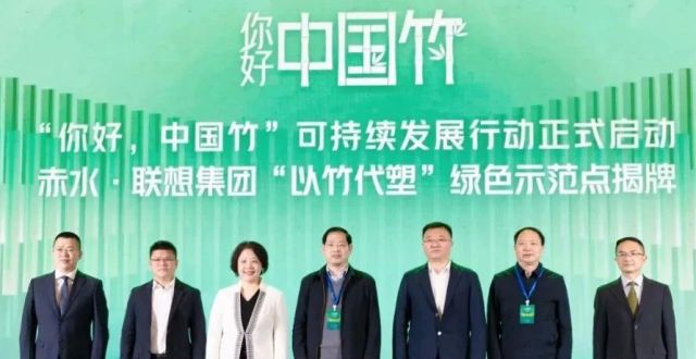 中国竹，从这里走向世界_腾讯新闻