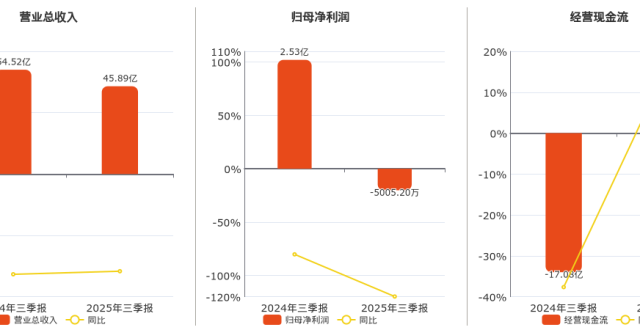 2025年三季报净利润为-5005.20万元，同比由盈转亏_腾讯新闻