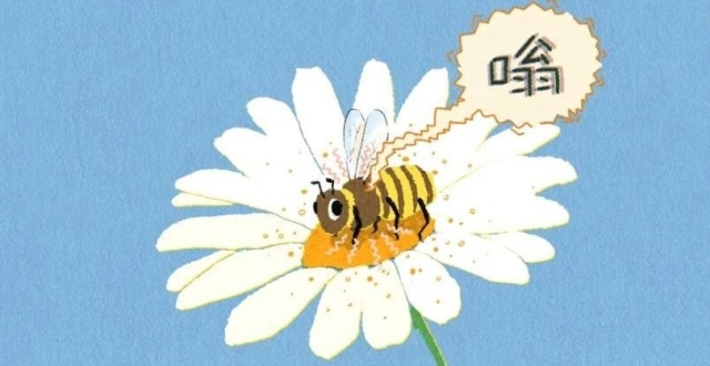 蜜蜂为什么会嗡嗡嗡？蜜蜂越大，嗡嗡声越大？_腾讯新闻