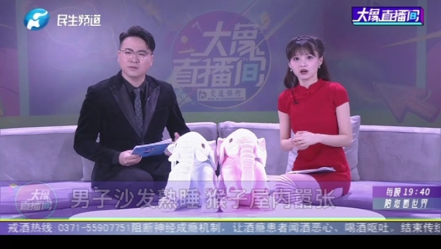 河南民生频道大象直播间