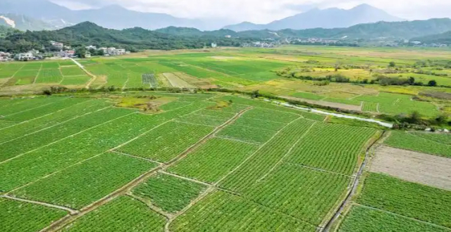 报告称我国种植业农药使用量连续8年下降_腾讯新闻