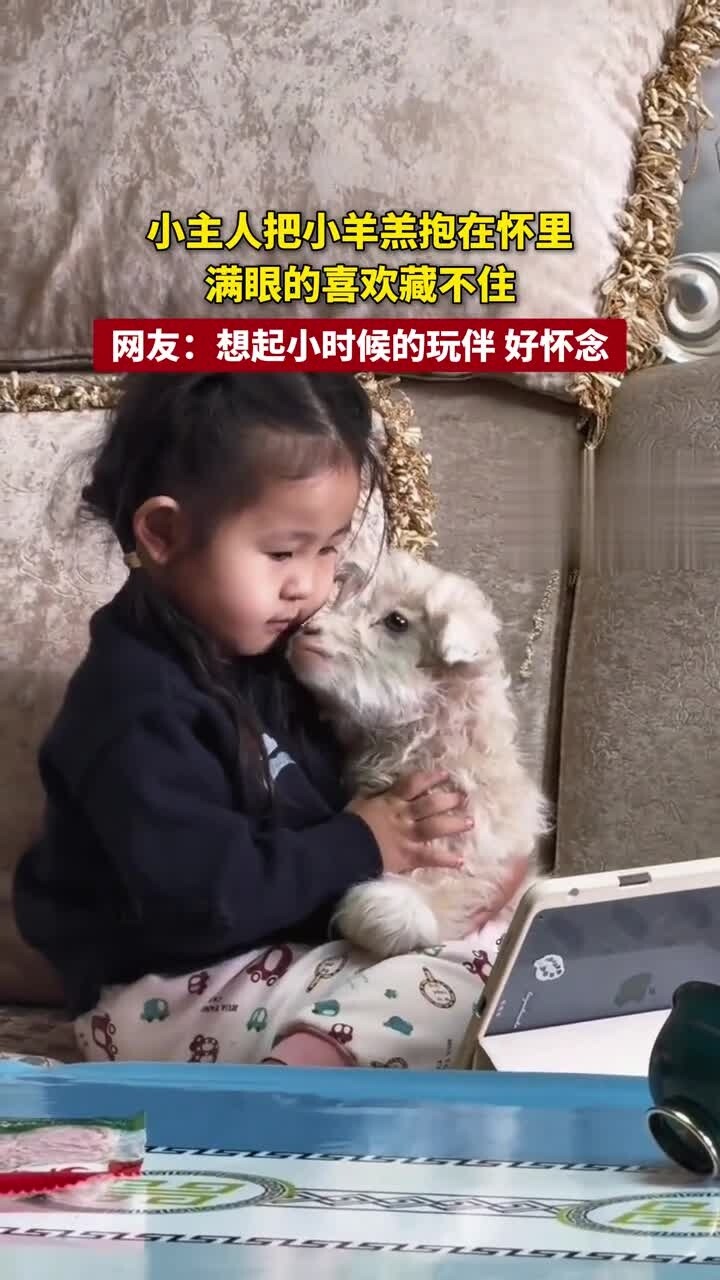 小主人把小羊羔抱在怀里 满眼的喜欢藏不住 网友：想起小时候的玩伴 好怀念_腾讯新闻