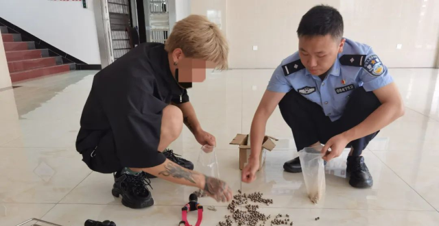 会同两男子非法捕杀野鸟被处罚_腾讯新闻