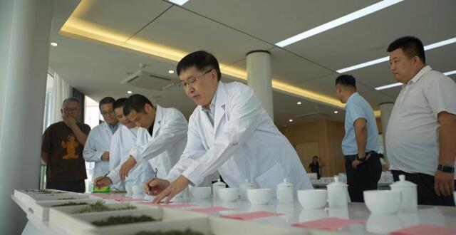 182 个茶样竞 “茶王”，谁能拔得头筹？_腾讯新闻