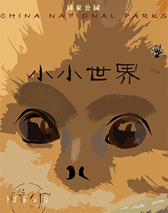 国家公园·小小世界