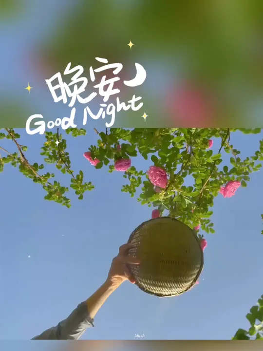 月色花海，夜静心安，晚安～_腾讯新闻