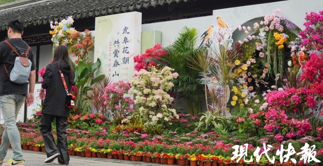 “五一”假期，苏州园林接待游客超72万人次_腾讯新闻