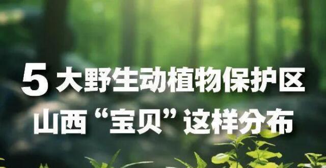 5大野生动植物保护区，山西“宝贝”这样分布腾讯新闻 
