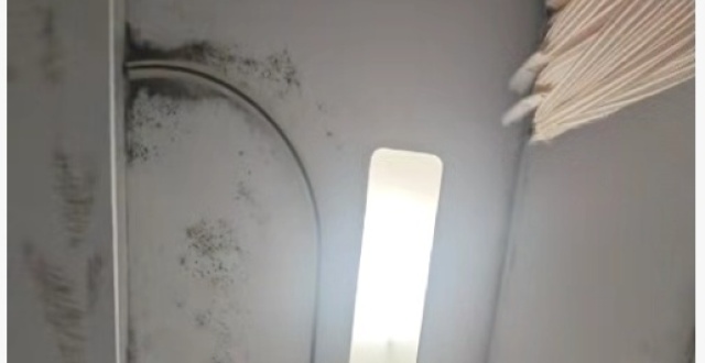 广东一医院被曝病房墙体和天花板都是霉菌，院方称工作确有疏忽，为啥会出现霉菌？对健康有啥影响？
