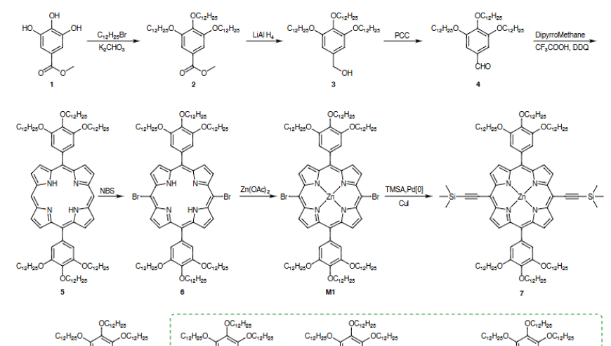 陈学思院士、丁建勋研究员JACS：新型肿瘤选择性自组装聚氨基酸网络通过微囊泡裂变放大实现级联旁观者细胞毒性_腾讯新闻