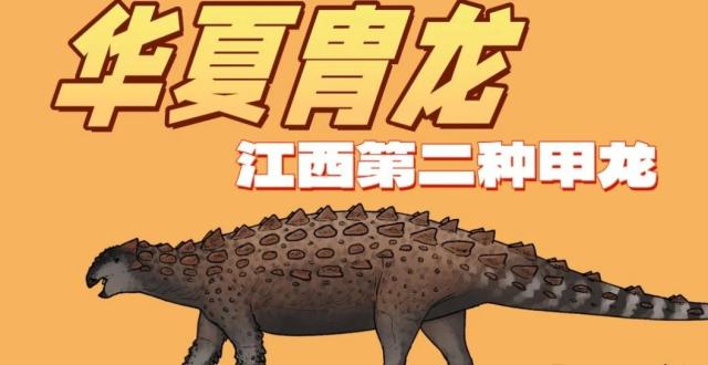 时隔近40年，这种甲龙终于被命名啦！_腾讯新闻