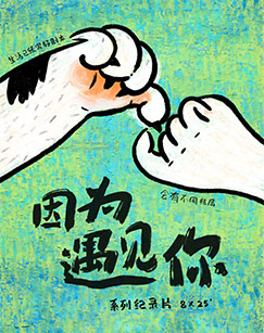 因为遇见你