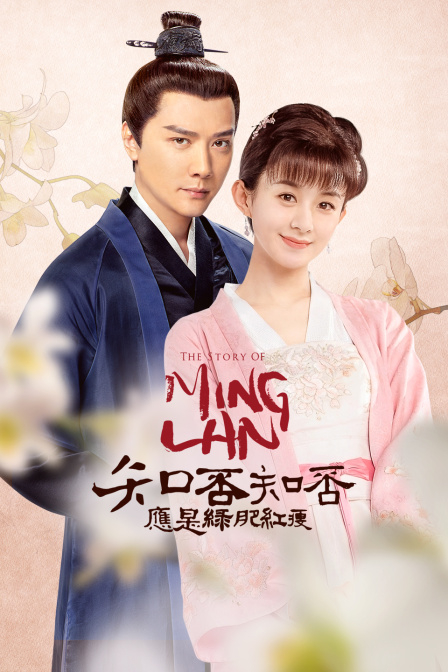 知否知否應是綠肥紅瘦dvd