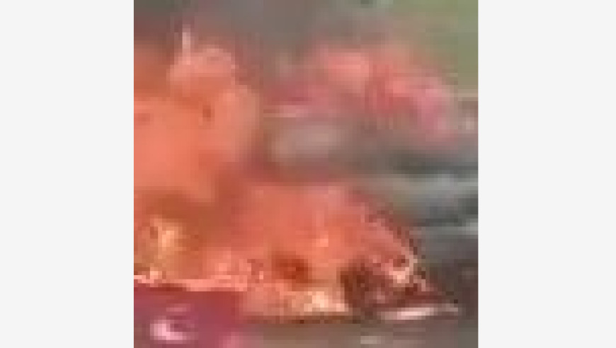 Escalating Tensions in South Asia; France's Middle East Diplomacy; China's Energy and Cultural Initiatives; COP30 Climate Policies