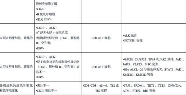 一文读懂 ESMO 2025 淋巴瘤更新指南_腾讯新闻