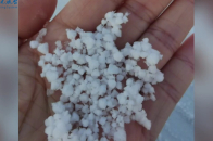 霰+冰粒+雪！郑州昨日出现复杂相态降水，今夜降雪逐渐停止_腾讯新闻