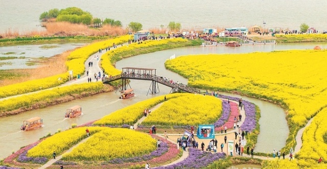苏中三地因地制宜推动农文旅融合 延长花经济产业链_腾讯新闻