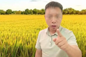 200万粉丝网红诋毁袁隆平成果，将杂交水稻称为“变态杂交”，这种谣言有多离谱？该网红会被如何处罚？