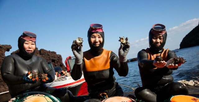 最新科研发现，济州岛海女长年潜水让后代进化出“超能力”：更耐寒、血压更低_腾讯新闻