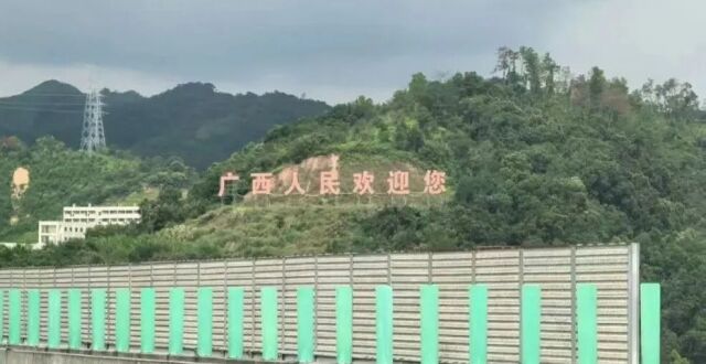 网友：树枝挡到拍照了 广西：马上处理