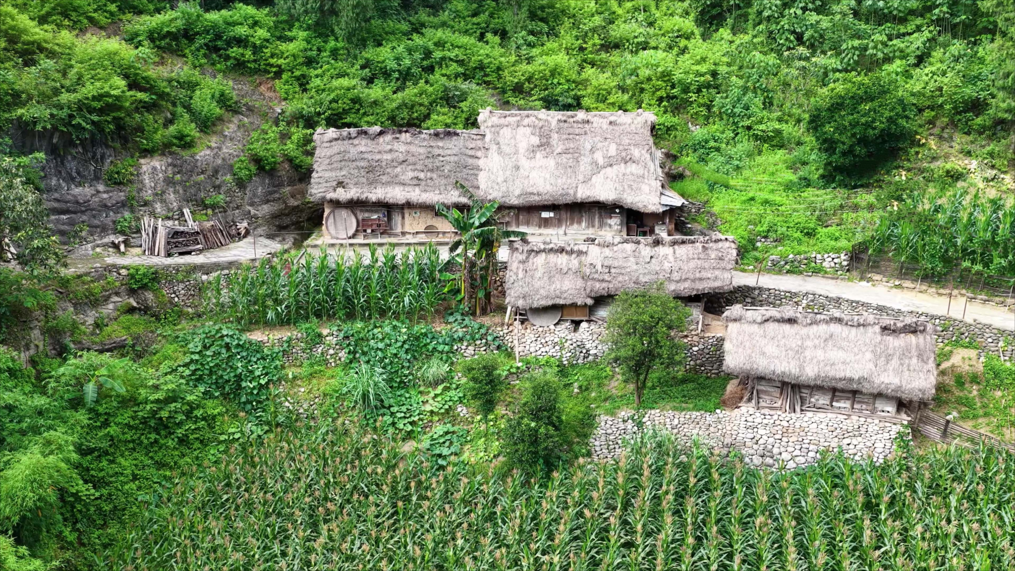 四川深山发现一户人家,竟至今仍住着茅草屋,走近一看简直就是现实版