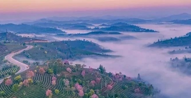 一天一点普洱（2803）上榜候鸟式养老夏季栖息地，快来普洱体验“诗意地栖居”！_腾讯新闻